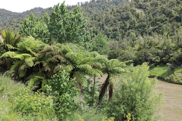 Neuseeland Landschaft New Zealand Landscape — Stock Photo, Image