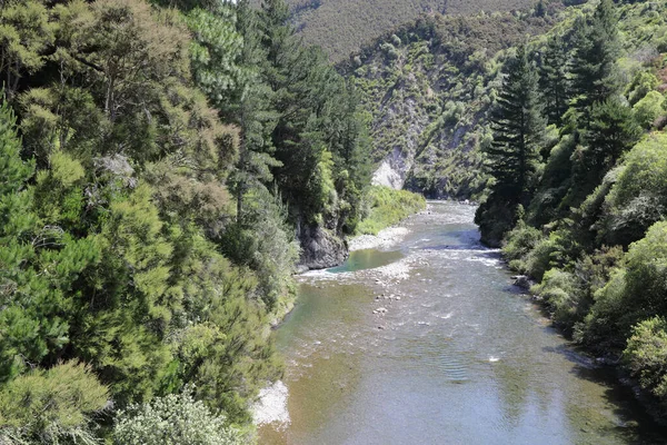 Ngaruroro Fluss Ngaruroro Fluss — Stockfoto