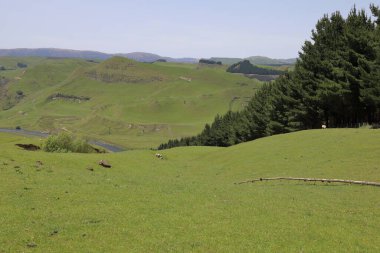 Rangitikei Nehri / Rangitikei Nehri / 