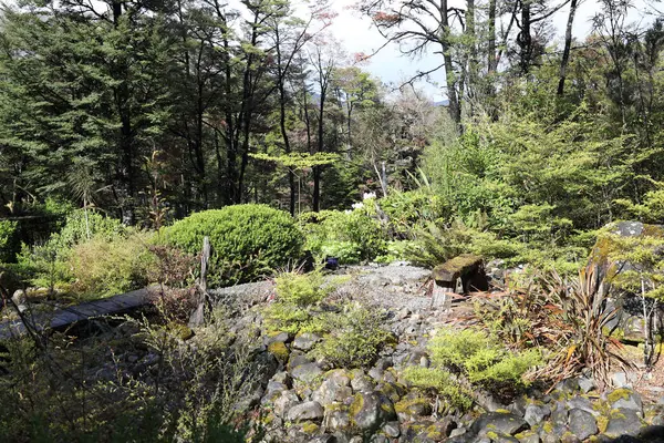 Saint Arnaud Garten Saint Arnaud Springs — Foto Stock