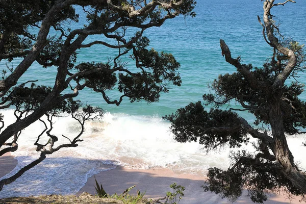 Stingraybucht Neuseeland Stingray Bay Nový Zéland — Stock fotografie