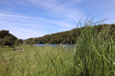 Waiau Nehri / Waiau Nehri / 