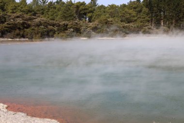 Wai-O-Tapu Thermalwunderland - Şampanya Havuzu / Wai-O-Tapu Termal Harikalar Diyarı - Şampanya Havuzu