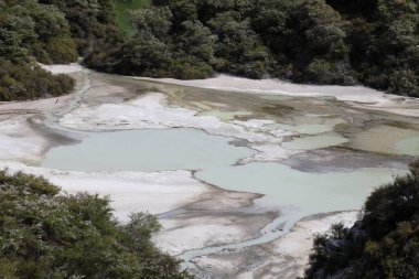 Wai-O-Tapu Thermalwunderland / Wai-O-Tapu Termal Harikalar Diyarı /