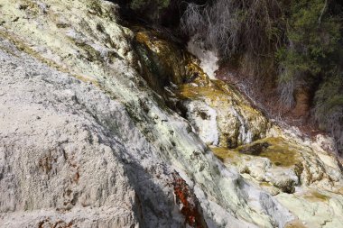 Wai-O-Tapu Thermalwunderland / Wai-O-Tapu Termal Harikalar Diyarı /