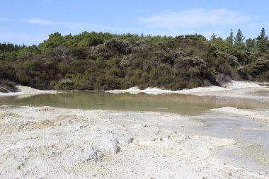 Wai-O-Tapu Thermalwunderland / Wai-O-Tapu Termal Harikalar Diyarı /