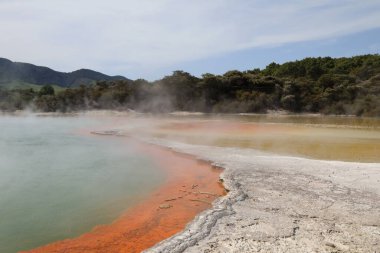 Wai-O-Tapu Thermalwunderland Şampanya Havuzu / Wai-O-Tapu Termal Harikalar Diyarı Şampanya Havuzu