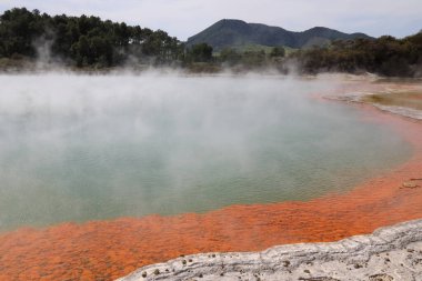 Wai-O-Tapu Thermalwunderland Şampanya Havuzu / Wai-O-Tapu Termal Harikalar Diyarı Şampanya Havuzu