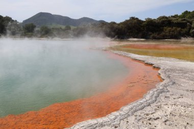 Wai-O-Tapu Thermalwunderland Şampanya Havuzu / Wai-O-Tapu Termal Harikalar Diyarı Şampanya Havuzu