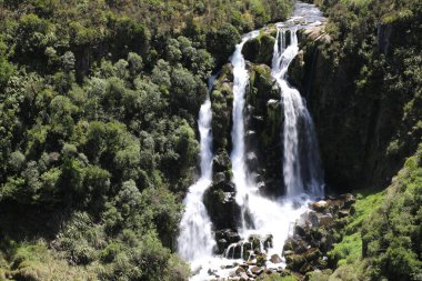 Waipunga Wasserfall / Waipunga Falls / 