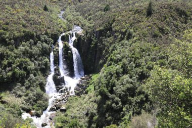 Waipunga Wasserfall / Waipunga Falls / 