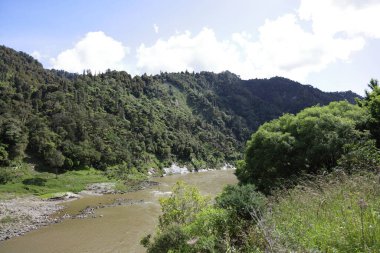 Whanganui Nehri / Whanganui Nehri / 