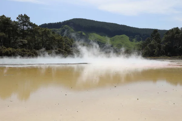 Palette Artiste Wai Tapu Thermalwunderland Palette Artiste Wai Tapu Thermal — Photo