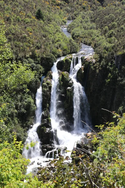 Waipunga Wasserfall Waipunga Falls — Stockfoto