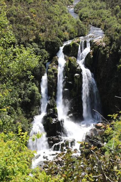 Waipunga Wasserfall Waipunga Falls — Stock Photo, Image