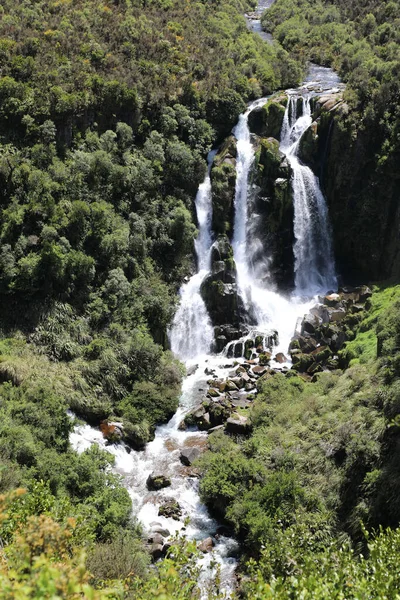 Waipunga Wasserfall Waipunga Falls — Stok fotoğraf