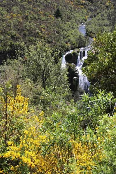 Waipunga Wasserfall Cascate Waipunga — Foto Stock
