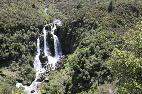 Waipunga Wasserfall Waipunga Falls — Stockfoto