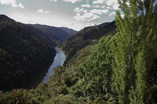 Ποταμός Whanganui Ποταμός Whanganui — Φωτογραφία Αρχείου