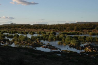 Letaba Nehri / Letaba Nehri / 