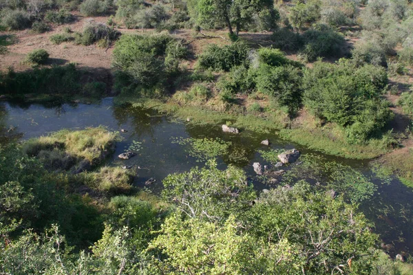 Wanetsi River Wanetsi River — Stock Photo, Image