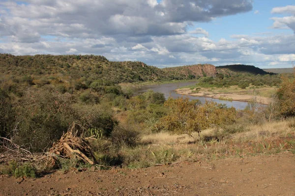 Olifants River Olifants River — Stockfoto