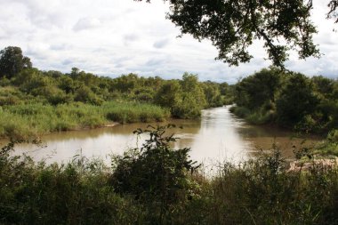 Sabie Nehri / Sabie Nehri / 