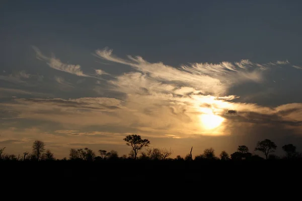 Sonnenuntergang Krueger Park Suedafrika Sundown Kruger Park Sydafrika — Stockfoto