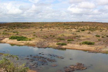 Olifants River / Olifants River / 
