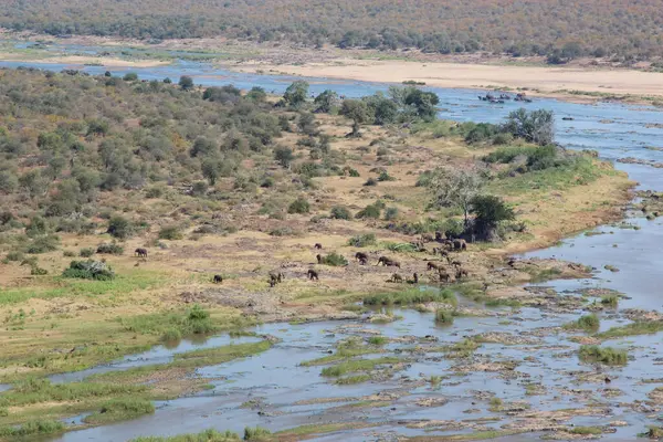 Olifants River Olifants River — Stockfoto