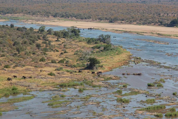 Olifants River Olifants River — Fotografia de Stock