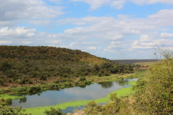 Orpendammen Krueger Park Suedafrika Orpendammen Kruger Park Sydafrika — Stockfoto