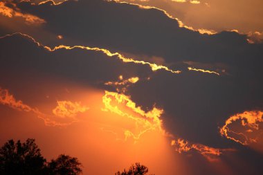 Sonnenuntergang - Krueger Park Suedafrika / Sundown - Kruger Park Güney Afrika / 