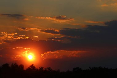 Sonnenuntergang - Krueger Park Suedafrika / Sundown - Kruger Park Güney Afrika / 