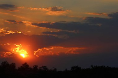 Sonnenuntergang - Krueger Park Suedafrika / Sundown - Kruger Park Güney Afrika / 