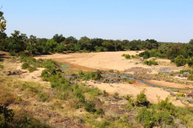 Timbavati River / Timbavati River / 