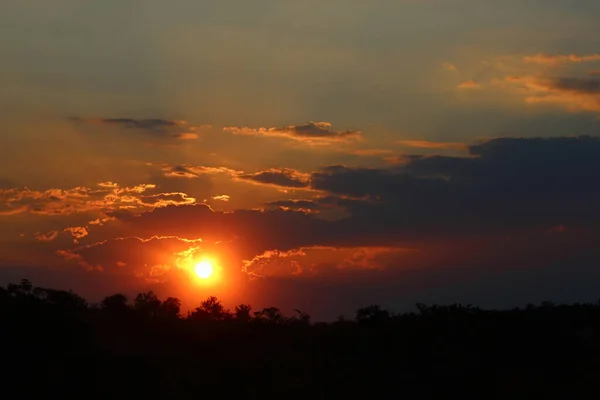 Sonnenuntergang Krueger Park Suedafrika Sundown Kruger Park Νότια Αφρική — Φωτογραφία Αρχείου