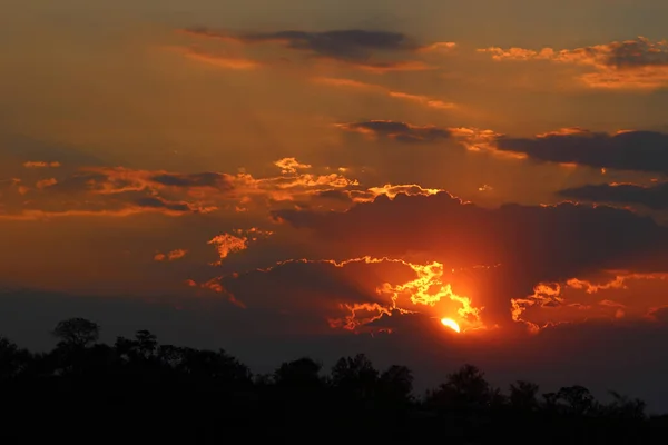 Sonnenuntergang Krueger Park Suedafrika Sundown Kruger Park Dél Afrika — Stock Fotó