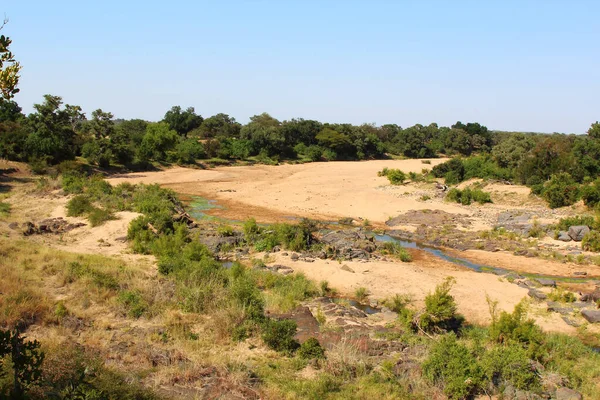 Timbavati River Timbavati River — Zdjęcie stockowe