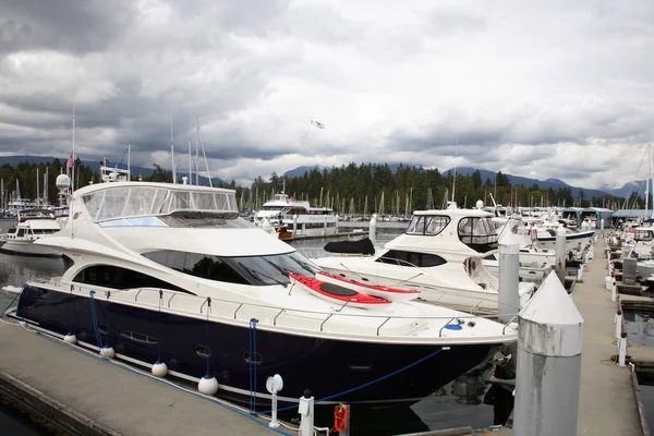 Vancouver Hafen Vancouver Limanı — Stok fotoğraf