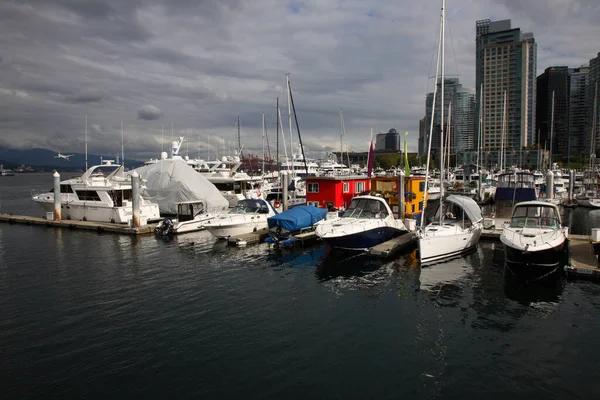Vancouver Hafen Port Vancouver — Photo