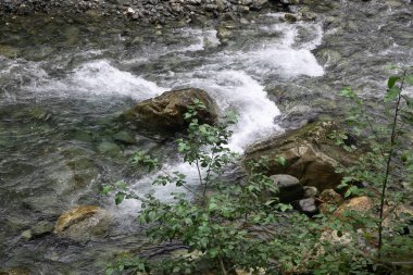 Vancouver Adası - Strathcona İl Parkı - Elk Nehri - Kanada / Vancouver Adası - Strathcona İl Parkı - Elk Nehri - Kanada / Vancouver Nehri 