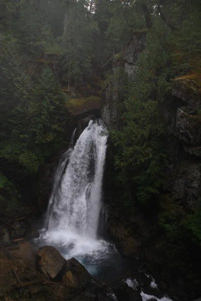 Vancouver Island Strathcona Provincial Park Lady Falls Kanada Vancouver Island — Foto Stock