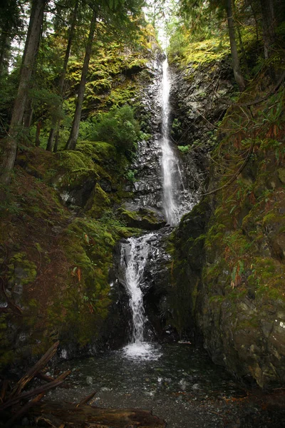 Vancouver Island Strathcona Provincial Park Lupin Falls Kanada Vancouver Island — Foto Stock