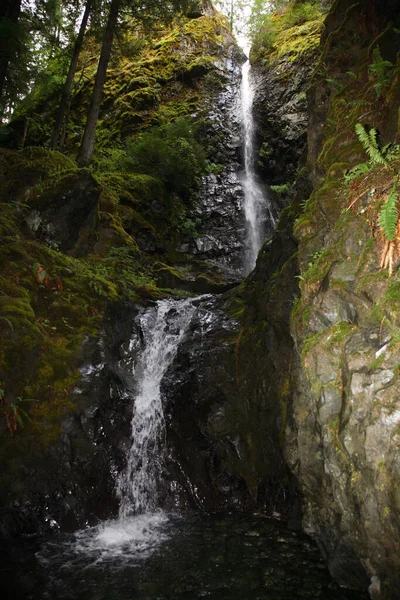 Vancouver Sziget Strathcona Tartományi Park Lupin Falls Kanada Vancouver Sziget — Stock Fotó