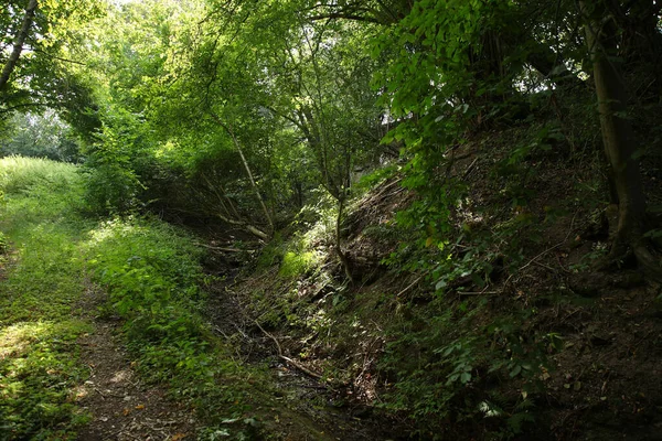 Spalter Hügelland Spalter Hills — Stockfoto