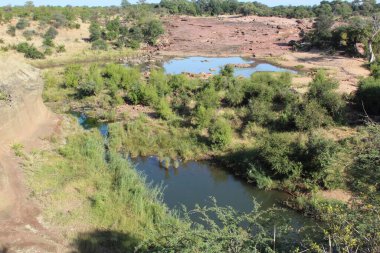 Afrikanischer Busch - Kruegerpark - Kızıl Kayalar / Afrika Bush - Kruger Parkı / Kızıl Kayalar