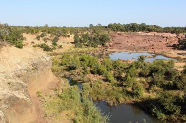 Afrikanischer Busch - Kruegerpark - Kızıl Kayalar / Afrika Bush - Kruger Parkı / Kızıl Kayalar
