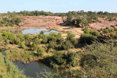 Afrikanischer Busch - Kruegerpark - Kızıl Kayalar / Afrika Bush - Kruger Parkı / Kızıl Kayalar