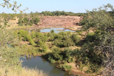 Afrikanischer Busch - Kruegerpark - Kızıl Kayalar / Afrika Bush - Kruger Parkı / Kızıl Kayalar